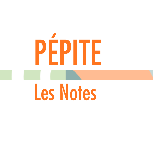 Visuel Notes PEPITE  (3)